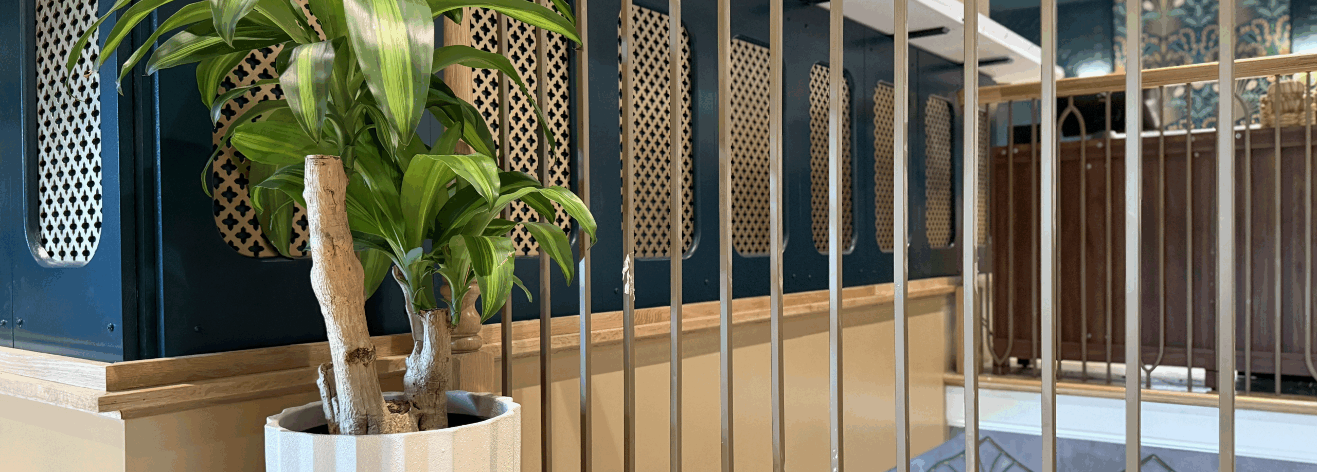 plant header leluia hall railing